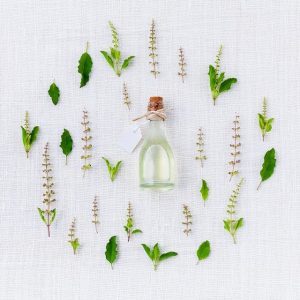 Ingredients of a Good Organic Shampoo for Hair growth Ingredients of a Good Organic Shampoo for Hair growth