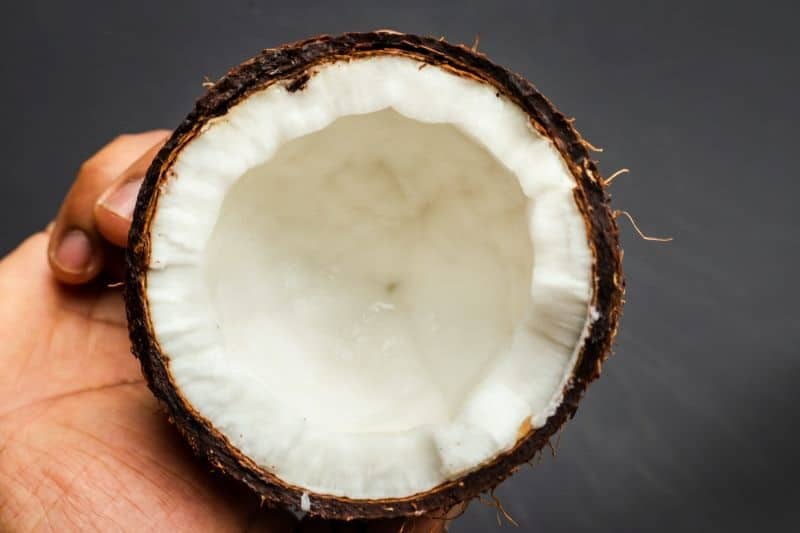 best organic coconut milk on market best organic coconut milk on market