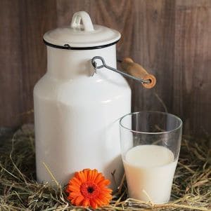 canned organic coconut milk canned organic coconut milk