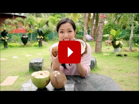 natural coconut milk production natural coconut milk production