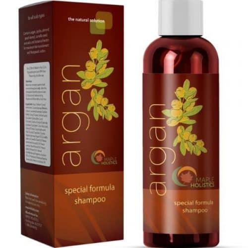 Maple Holistics Argan Oil Shampoo and Hair Conditioner – Best Cleansing Organic Shampoo
