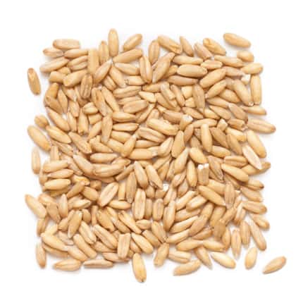 Whole Oat Groats organic