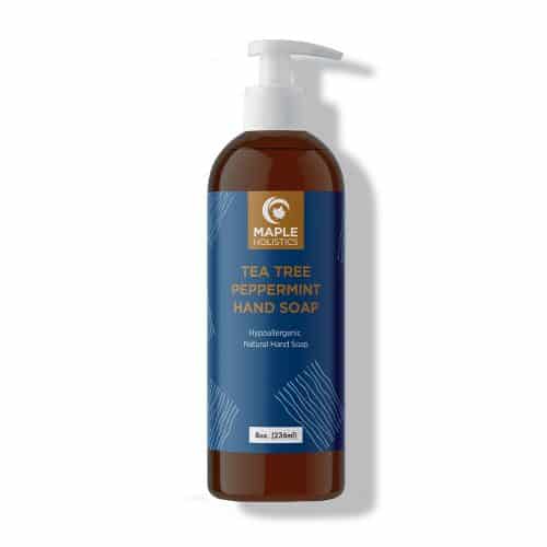 Maple Holistics Anti-Bacterial Hand Wash
