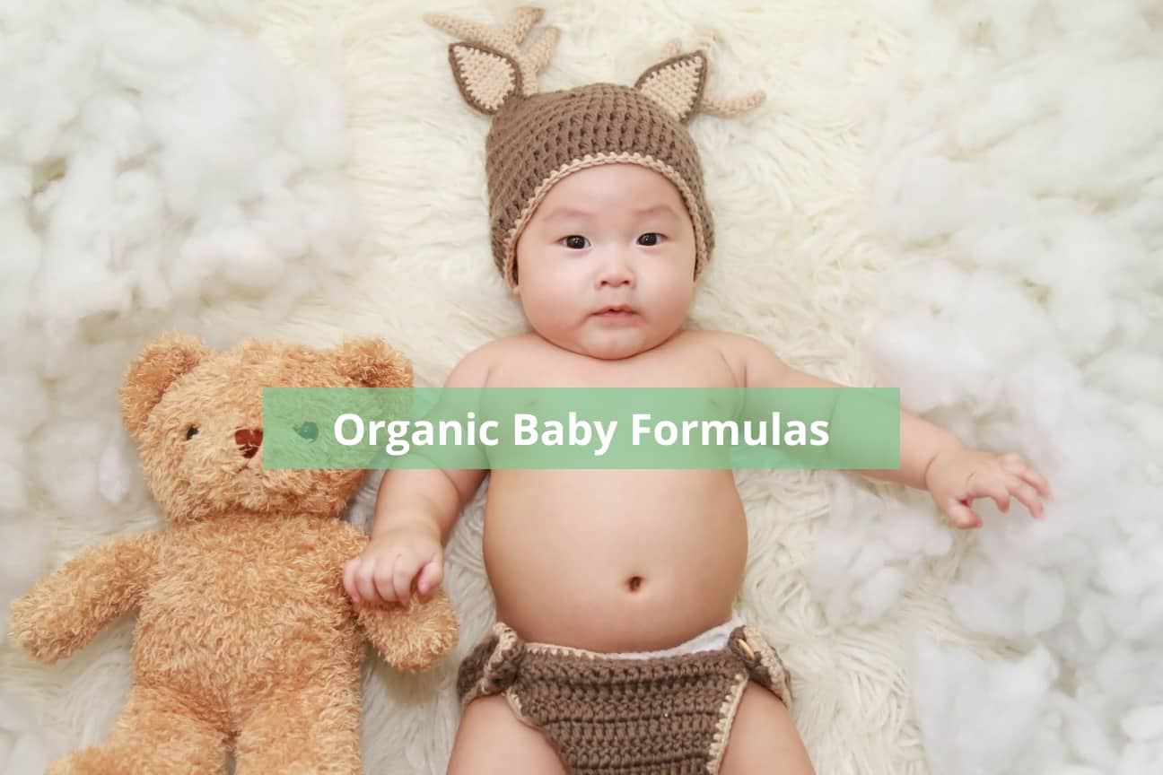 The 10 Best Organic Baby Formulas