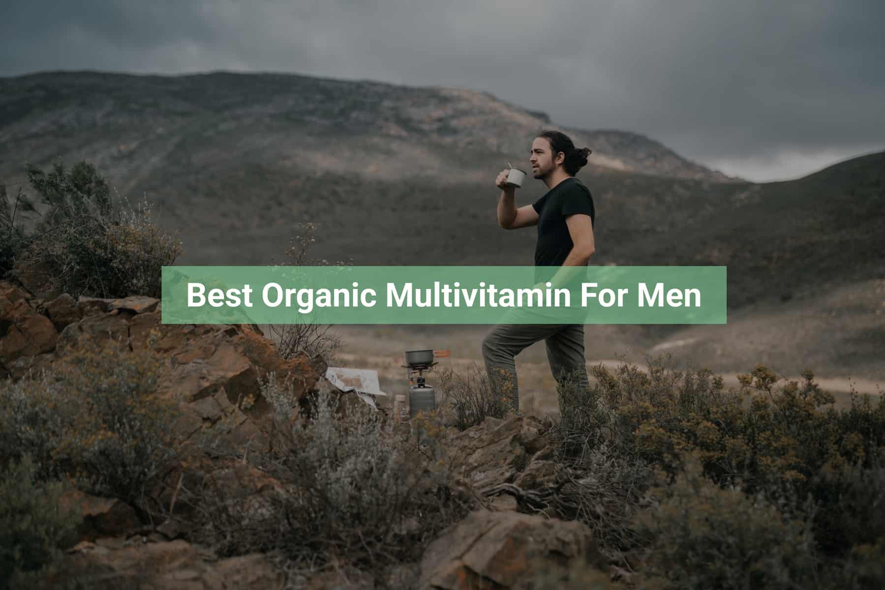 Best Organic Multivitamin For Men