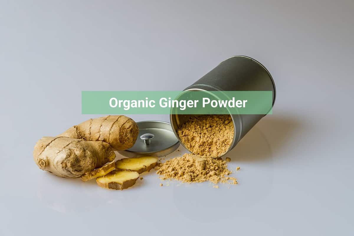 Organic Ginger Powder