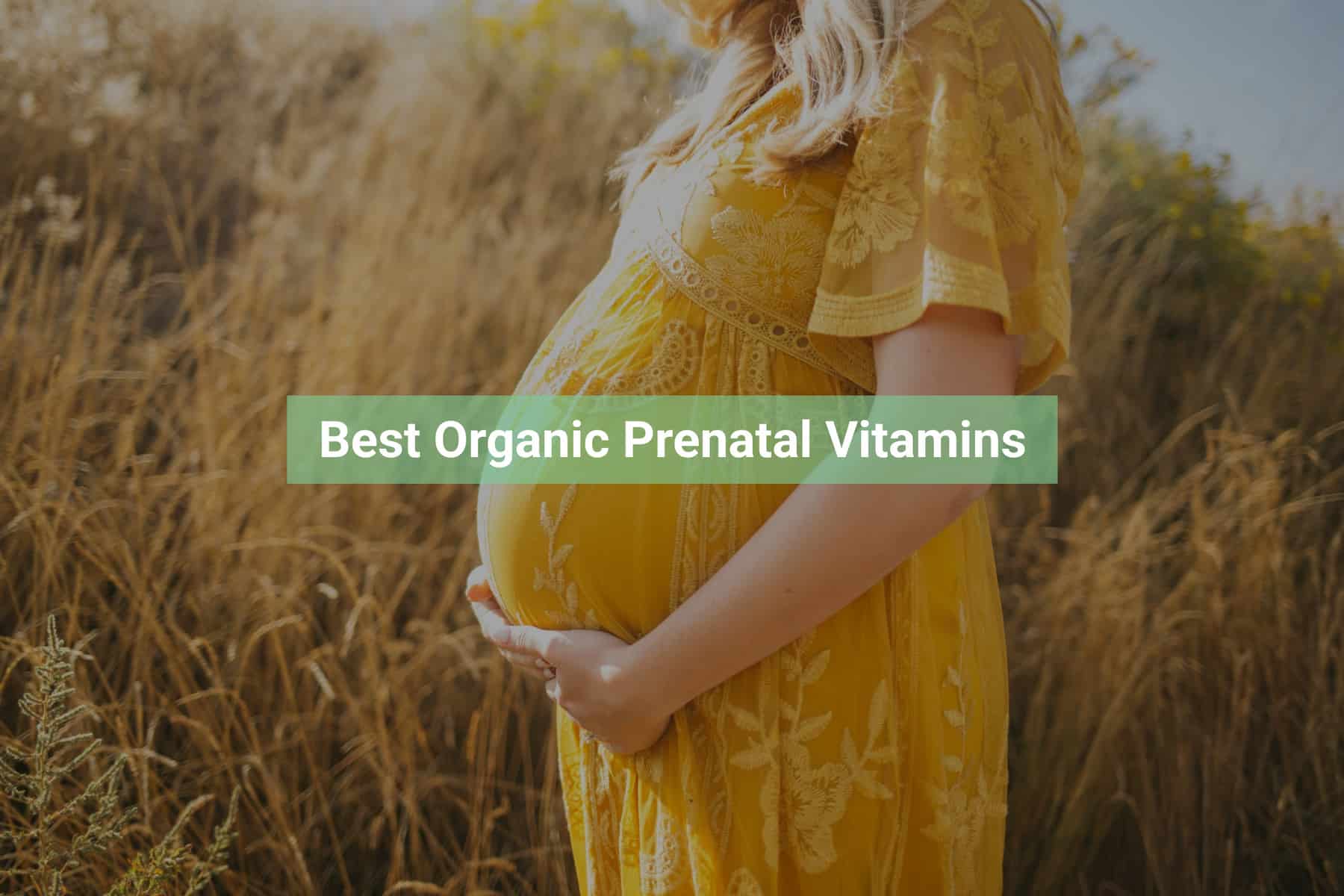 The Best organic Prenatal Vitamins