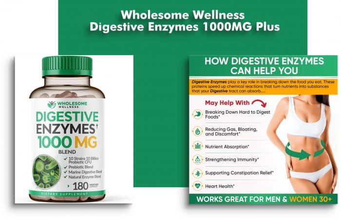 Wholesome Wellness Digestive Enzymes 1000MG Plus