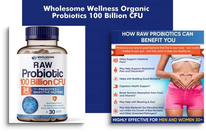 Wholesome Wellness Organic Probiotics 100 Billion CFU