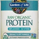 What is the best natural protein powder